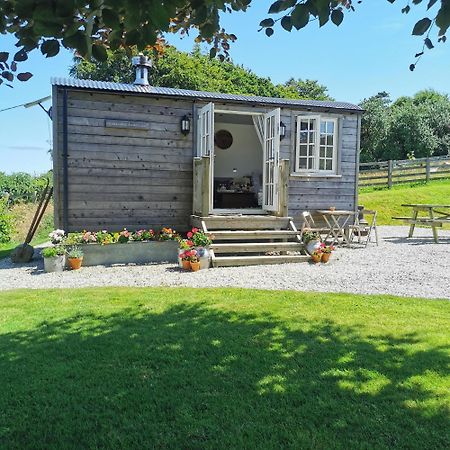 Vila Elvan Farm Shepherd'S Hut Exeter Exteriér fotografie