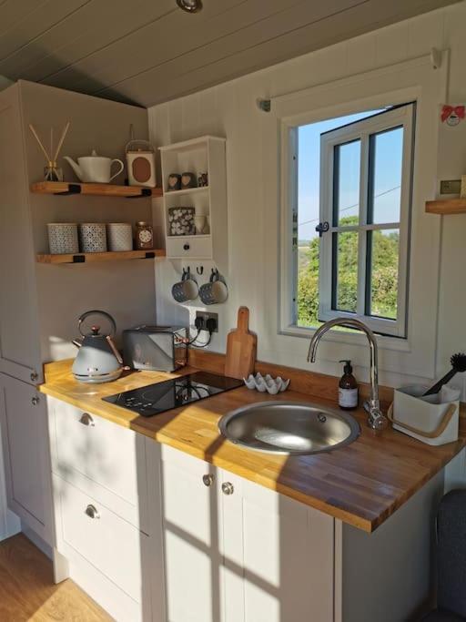 Vila Elvan Farm Shepherd'S Hut Exeter Exteriér fotografie