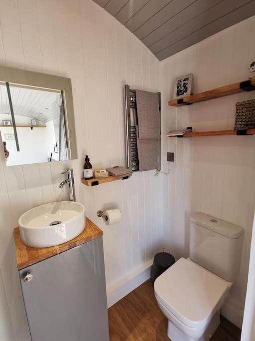 Vila Elvan Farm Shepherd'S Hut Exeter Exteriér fotografie